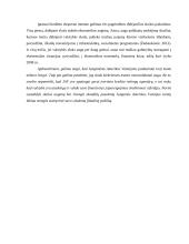 Valstybės skola ir jos priežastys bei pasekmės 20 puslapis