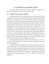 Valstybės skola ir jos priežastys bei pasekmės 6 puslapis