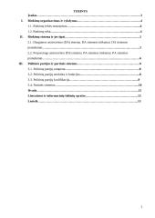 Rinkimų sistemos ir partinės sistemos ryšys 1 puslapis