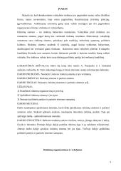 Rinkimų sistemos ir partinės sistemos ryšys 2 puslapis