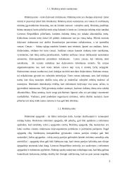 Rinkimų sistemos ir partinės sistemos ryšys 3 puslapis