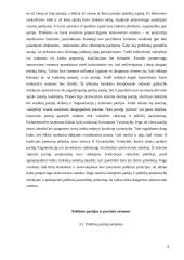 Rinkimų sistemos ir partinės sistemos ryšys 6 puslapis