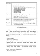 Rinkimų sistemos ir partinės sistemos ryšys 8 puslapis