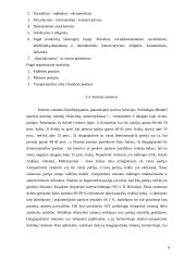 Rinkimų sistemos ir partinės sistemos ryšys 9 puslapis