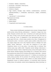 Rinkimų sistemos ir partinės sistemos ryšys 9 puslapis