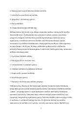 Robotizuoto karvių melžimo privalumai ir trūkumai 7 puslapis