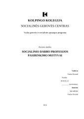 Socialinio darbo profesijos pasirinkimo motyvai