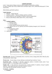 Apykaitos sistema, konspektas 4 puslapis