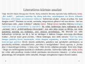 Kaip parašyti gerą rašinį? 17 puslapis