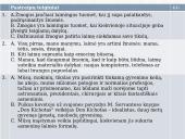 Kaip parašyti gerą rašinį? 8 puslapis