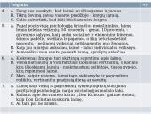 Kaip parašyti gerą rašinį? 9 puslapis