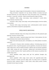 5 vas standartas (apskaitos politika) 2 puslapis