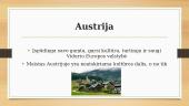 Austrijos virtuvė 2 puslapis