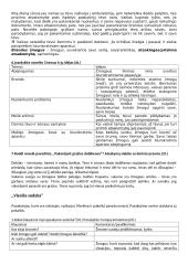 J. Apučio klausimynas, nagrinėjimas 4 puslapis