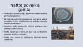 Naftos pristatymas 13 puslapis