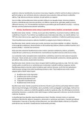 Baudžiamosios teisės sąvoka (Vartojimas ir kt.) 4 puslapis