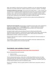 Baudžiamosios teisės sąvoka (Vartojimas ir kt.) 6 puslapis