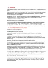 Baudžiamosios teisės sąvoka (Vartojimas ir kt.) 8 puslapis