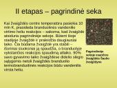 Žvaigždžių evoliucija (tyrimai) 4 puslapis