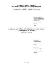 Kelionių agentūros "X" rinkodaros komplekso tobulinimo galimybės