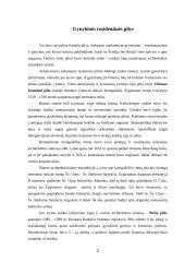Renesansas Lietuvoje 2 puslapis