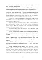 Renesansas Lietuvoje 7 puslapis