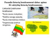 Lietuvos piliečių emigracija skaidrės 8 puslapis