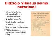 Didysis Vilniaus seimas skaidrės 4 puslapis