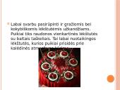 Stalo serviravimas skaidrės 5 puslapis