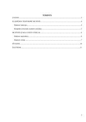 Lietuvos muitinė, jos funkcijos ir sąsajos su Klaipėdos jūrų uostu 2 puslapis