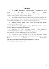 Lietuvos muitinė, jos funkcijos ir sąsajos su Klaipėdos jūrų uostu 11 puslapis