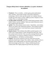 Miškais ateina ruduo - Tiliaus likimą lemiantys veiksniai