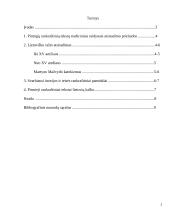 Rankraštinė knyga LDK iki spaudos atsiradimo 2 puslapis