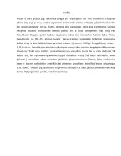 Rankraštinė knyga LDK iki spaudos atsiradimo 3 puslapis