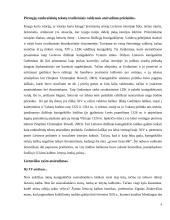 Rankraštinė knyga LDK iki spaudos atsiradimo 4 puslapis