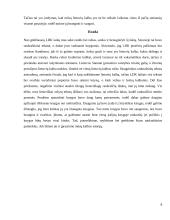 Rankraštinė knyga LDK iki spaudos atsiradimo 8 puslapis