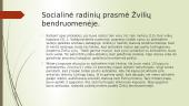Žvilių bendruomenės kapų įkapių analizė 11 puslapis