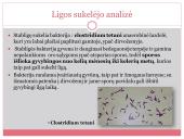 Stabligė skaidrės 3 puslapis