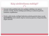 Stabligė skaidrės 4 puslapis