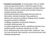 Klasikinė mezoterapija 6 puslapis