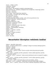 Nevartotinos svetimybės 20 puslapis