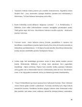 Tarpukario Kauno bohema 10 puslapis