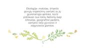 Kas man yra ekologija? 2 puslapis