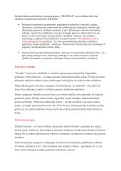 Steigiamos įmonės verslo planas 2 puslapis