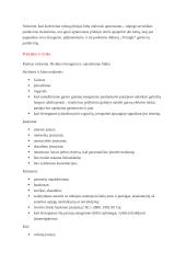 Steigiamos įmonės verslo planas 3 puslapis