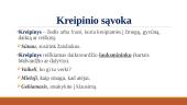 Kreipinys 2 puslapis