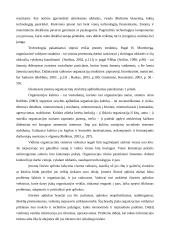 X prekybinės įmonės pardavimų grandinės optimizavimas 19 puslapis