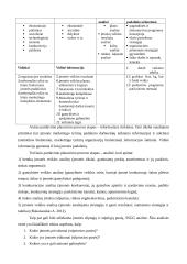X prekybinės įmonės pardavimų grandinės optimizavimas 6 puslapis