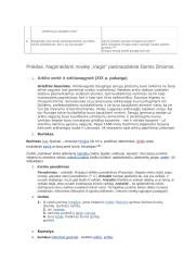 J.Biliūnas "Vagis" analizė 2 puslapis