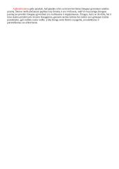 Tėvynės meilės bei šeimos vertybių aktualumas literatūroje  2 puslapis